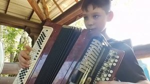 Осенний сон на баяне А.Джойс