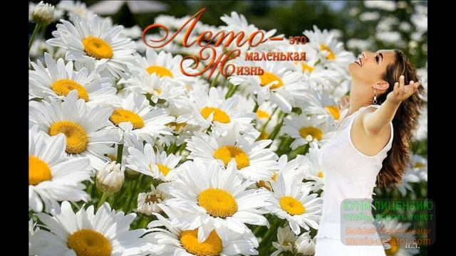 ВОТ И ЛЕТО! А ЛЕТО -ЭТО МАЛЕНЬКАЯ ЖИЗНЬ! смотреть онлайн