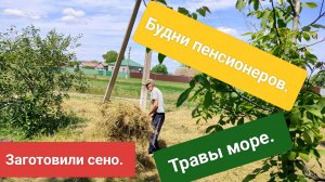 Топаем, ковыряемся.Борьба с наглой травой.Бройлеры.Жизнь станичная на пенсии.