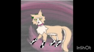 арт на конкурс кошки кати