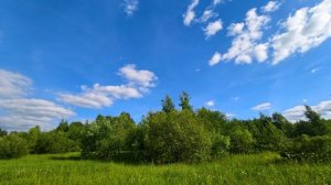 Спокойная музыка без слов для души. Фоновая музыка без слов. Спокойная музыка для фона