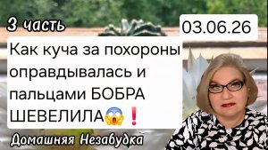 3 часть. Как куча за похороны оправдывалась и пальцами БОБРА ШЕВЕЛИЛА❗️