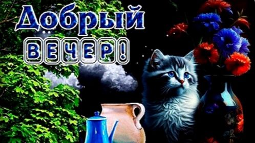 ДОБРЫЙ ВЕЧЕР! КРАСИВАЯ ВИДЕООТКРЫТКА