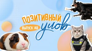 Огромная черешня и грызун из крема. «Позитивный улов»