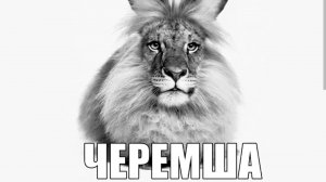ШИЗОФРЕНИЯ В ЧИ КЕН ГАН ПЯТАЯ ЧАСТЬ!!! (Последняя часть😮💨😮💨😮💨)