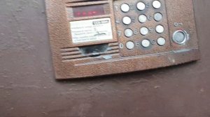 задолбали новые домофоны BEWARD от Цифрал-Сервис
