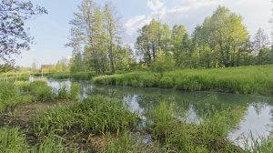 Река Востра. Вечер. ч.3. Июнь 2026
