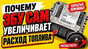 ВОТ ПРИЧИНЫ ПОЧЕМУ ЭБУ САМ УВЕЛИЧИВАЕТ РАСХОД ТОПЛИВА.