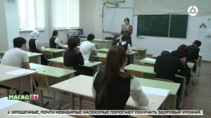 У девятиклассников Ингушетии начались основные экзамены