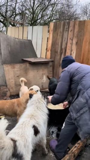 Очень хотят кушать.