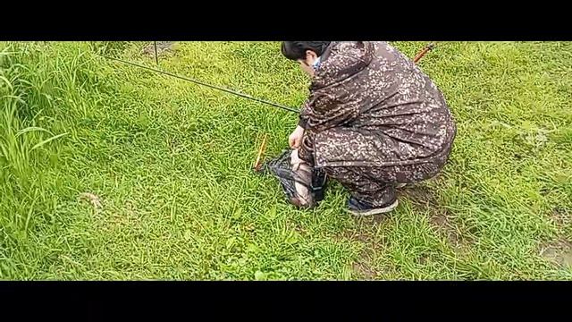 Светлые Горы Карп2 03.06.2026г. смотреть онлайн