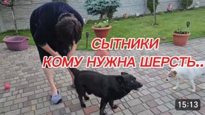 САМВЕЛ АДАМЯН, СЫТНИКИ, КОМУ НУЖНА ШЕРСТЬ..