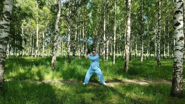 Упражнения с ротанговыми кольцами Вин Чун (17)