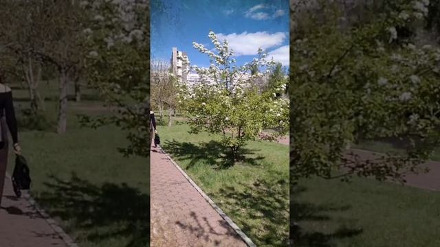 Это просто космос! Как новый курс от «Эва Продукт» помогает моим партнёрам стартовать в соцсетях. смотреть онлайн