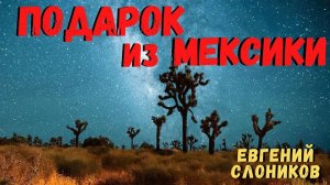 ПОДАРОК ИЗ МЕКСИКИ | Страшные истории