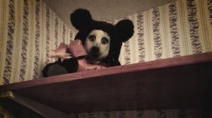самая жуткая крипипаста моего детства/teddy/полный разбор