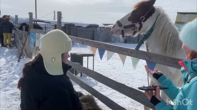 проект 