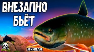 Рыба сходит с ума на падении! Такого клева в РР4 я давно не видел #рр4