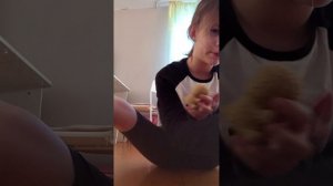 обзор на новые игрушки собак и пополнение❤