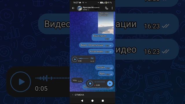говори с яриком