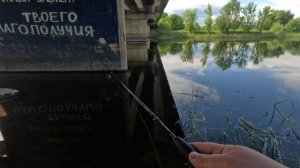 Окунь на микро отвод.Вечерняя рыбалка на реке.
