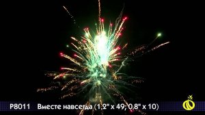 Р 8011 Вместе навсегда 1,2 х 49; 0,8 х 10
