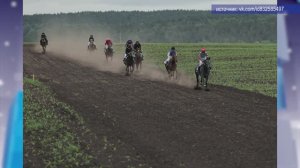 2026_06_03_Новости глав