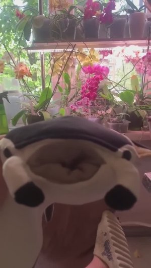 что лучше к чаю?