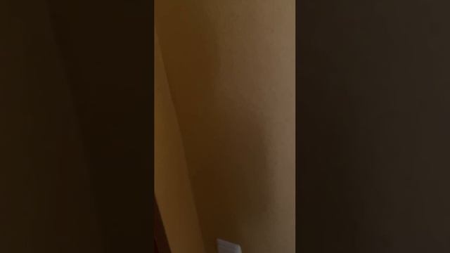 VID-20250801-WA0064 смотреть онлайн