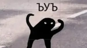 Видео с сёмгой
