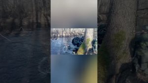 Беларусь 4_region Гродно оппозит.