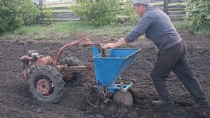 Посадка картошки под мотоблок
