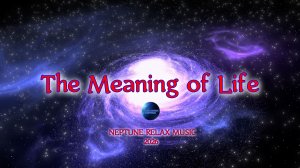 211. The Meaning of Life (2026)