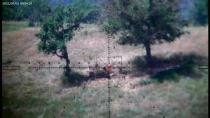 CGNL. Пол километра с арки? Легко! 6,5 Grendel