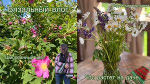 Вязальный влог | Кардиганное настроение |