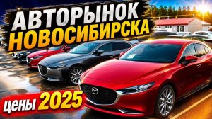 ✅ АВТОРЫНОК НОВОСИБИРСКА. ОСЕНЬ 2025