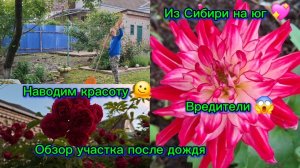 03-06-2026/Краснодарский край//Мечты сбываются!!!/Обзор участка/Убираем последствия после дождя/Юг//