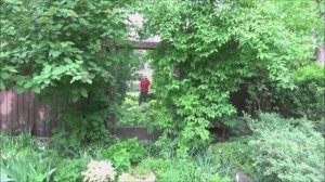 Часть 2 - Гостевая.