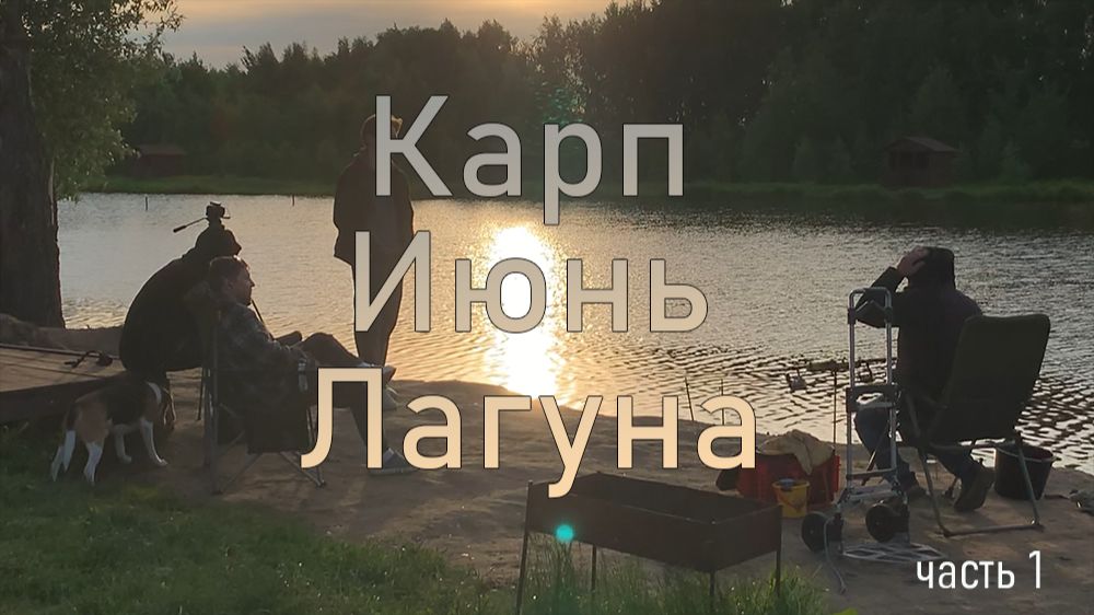 Ловля карпа на платном водоёме.