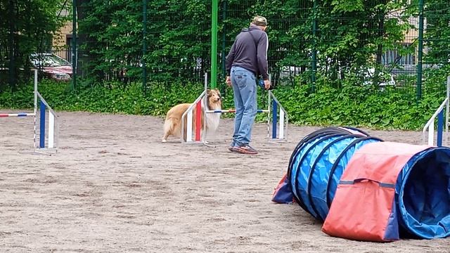 Вик, тренировка по адж, 31.05 - 3