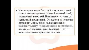 Видео-встреча по биологии 03.06.2026
