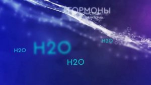 BWT THERO 90 - фильтр обратного осмоса