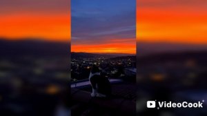 «Мои Топ: Крутых рэперов «.