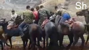 Буз каши дар дашти Чум 14.12.2019