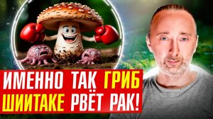 Как гриб Шиитаке убивает раковые клетки: МЕХАНИЗМ!