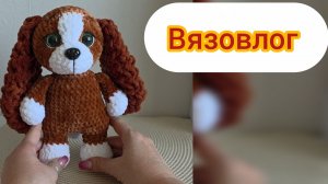 Вязовлог.  Собака + семья тигров. Покупки