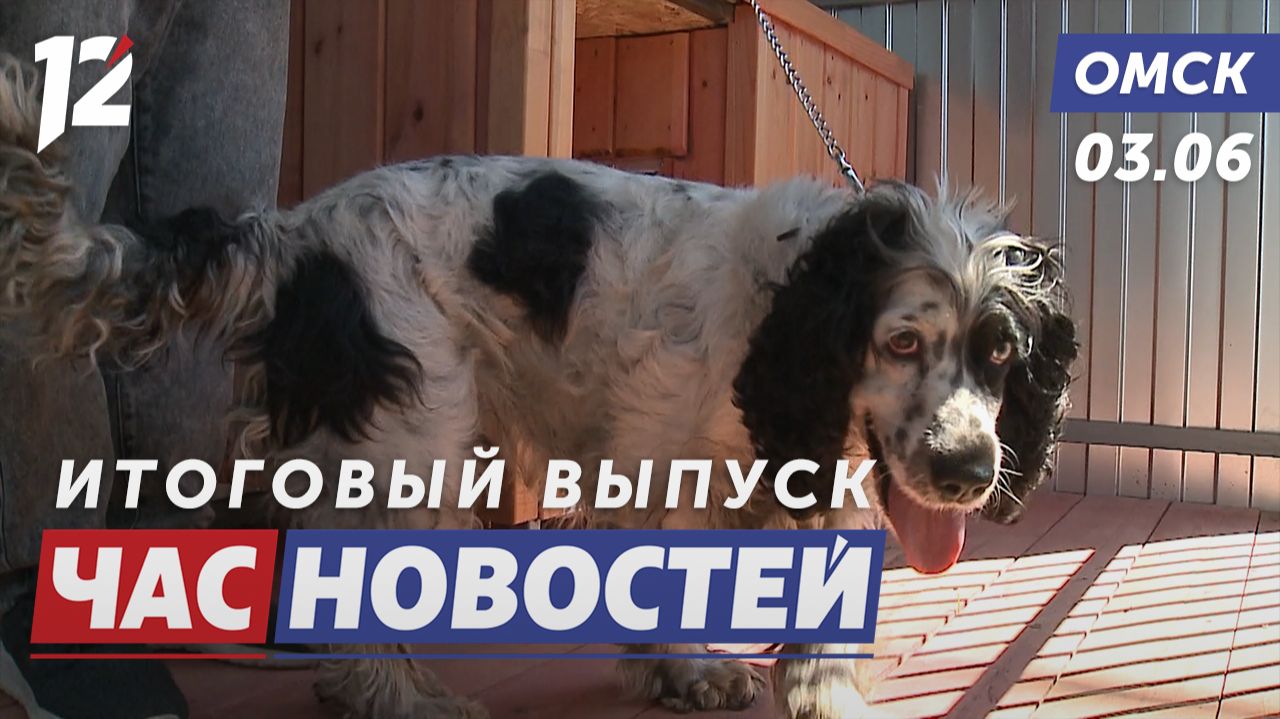 Хвостатые сотрудники депо / Рейд по омским пляжам / Новый шанс для студентов. Новости Омска смотреть онлайн