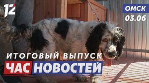 Хвостатые сотрудники депо / Рейд по омским пляжам / Новый шанс для студентов. Новости Омска