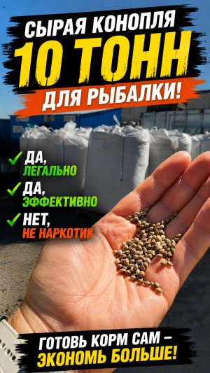 Про коноплю для рыбы. Да, легально. Да, эффективно. Нет, не наркотик.