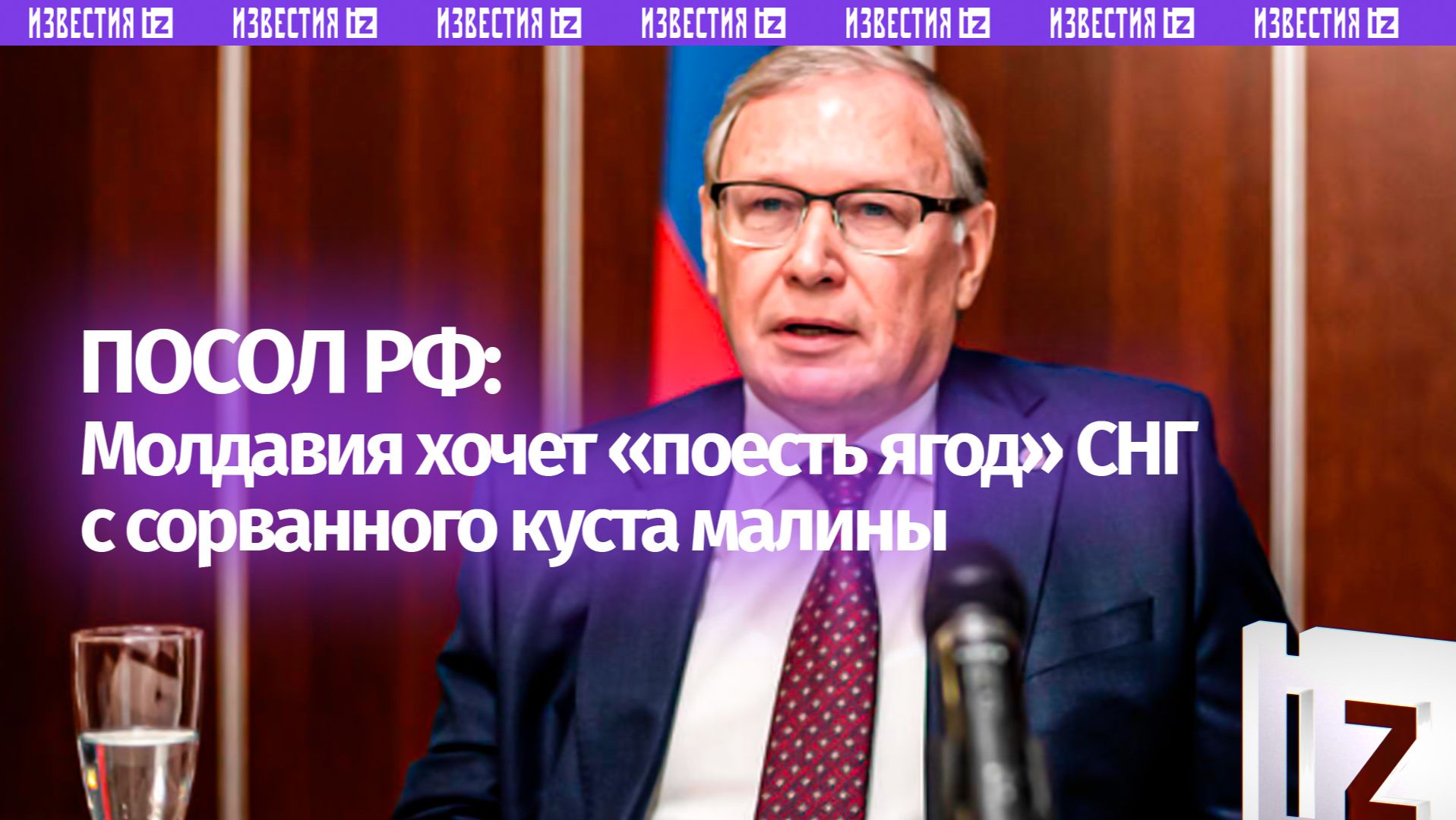 Посол РФ сравнил желания Молдавии по СНГ с вырвавшим куст малины медведем
